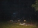 Orbs and ectoplasm floating around in a cemetary